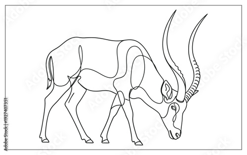 Minimalist single line art of a wild antelope with long curved horns, grazing or sniffing the ground in a clean illustration.
