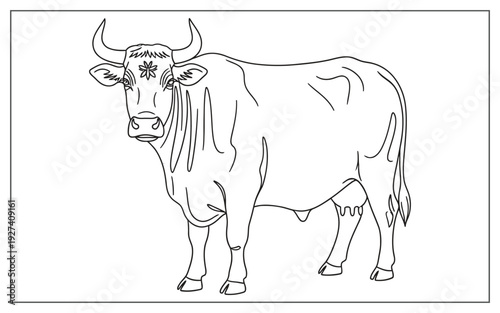 Detailed line art of a Brahman cow with distinct humps and horns, standing attentively, representing livestock and Indian culture.