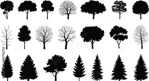 Tree silhouette vector set with different forest and park trees, pine and deciduous shapes, black nature clipart collection, isolated botanical design elements on white background.