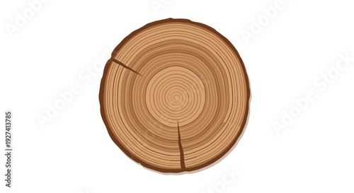 Tree Ring Cross Section Vector Illustration