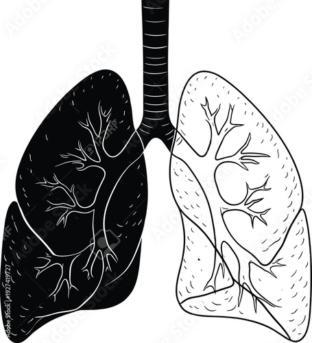 Human respiratory system lungs illustration with bronchial tree detail in black silhouette and line art style for medical health anatomy and education design