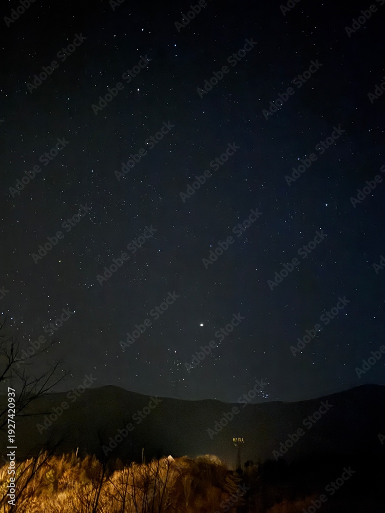 Fototapeta premium starry night sky