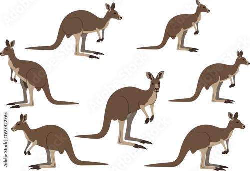 Kangaroo Pattern Brown Wildlife Isolated Objects Vector