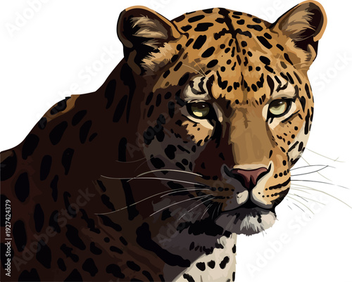 Leopard Portrait Vector Illustration Realistic Wild Animal Close Up