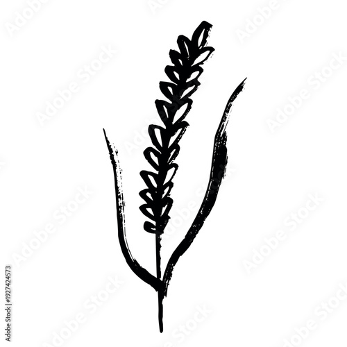 Hand drawn cereal wheat oat rye barley rice ears spikelet clipart Organic wheat bread agriculture farming harvest healthy food Single element for print packaging label design decor