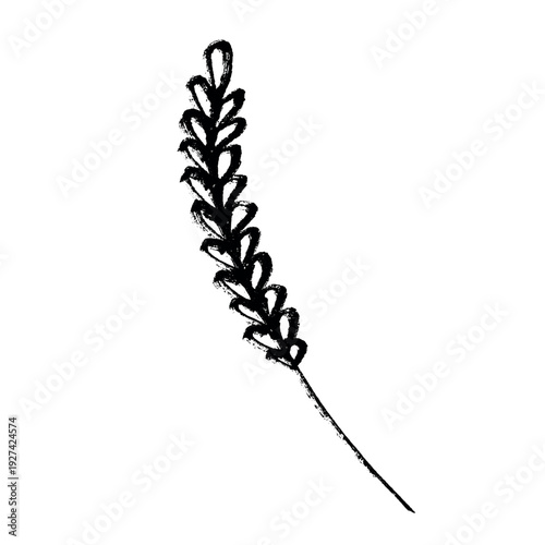 Hand drawn cereal wheat oat rye barley rice ears spikelet clipart Organic wheat bread agriculture farming harvest healthy food Single element for print packaging label design decor