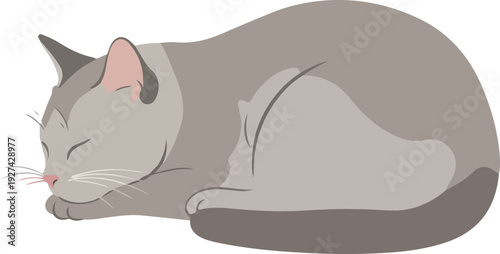 Minimalist Gray Cat Sleeping Flat Design Illustration Gentle