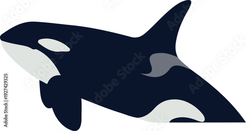 Orca Whale Flat Design Isolated Ocean Animal Dark Blue