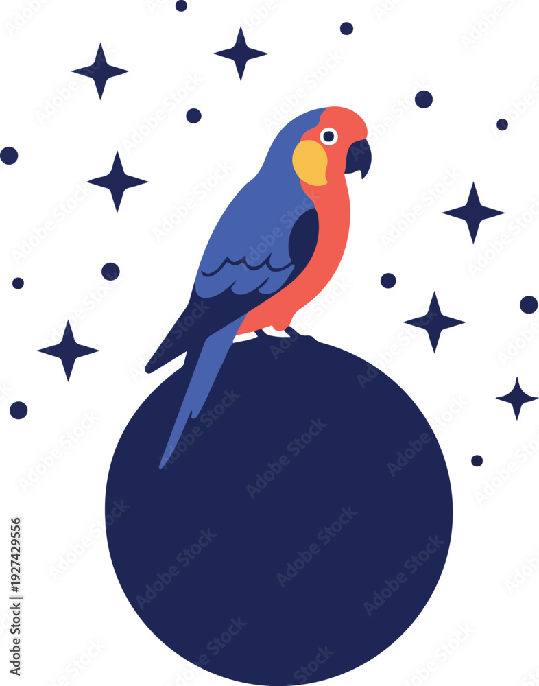 Fototapeta premium Parrot Perched On Sphere Under Starry Night Sky Minimalist Flat Design