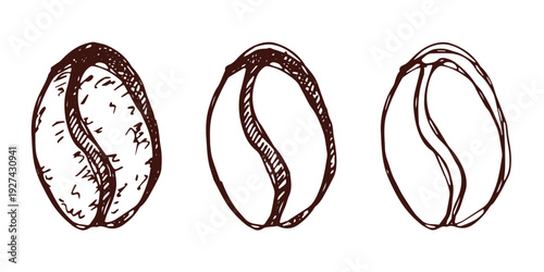 Set of hand drawn fresh roasted coffee bean Arabica robusta seed doodle Single element for design print packaging label decor