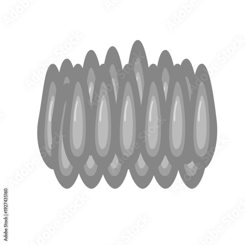 Mosquito Eggs Illustration 