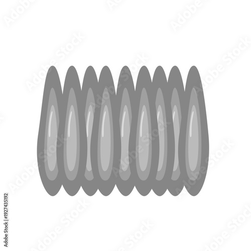 Mosquito Eggs Illustration 