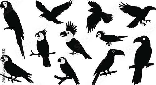 Exotic tropical bird silhouettes and toucan vector set illustration of flying and perched jungle birds isolated for logo branding design