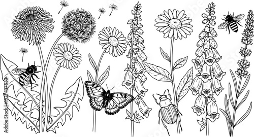 Botanical arrangement of various wildflowers and garden insects like bees, butterflies, and beetles