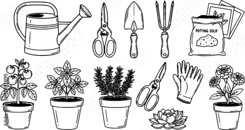 A diverse set of gardening essentials and live potted plants for cultivating a thriving home garden 