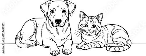 oyful dog and cat relaxing together at home