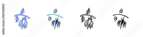 Ylang-Ylang Multiple Style Icon Set Vector 