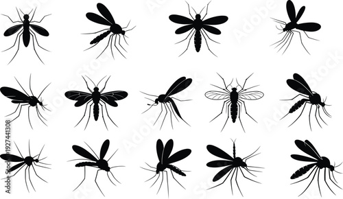 Mosquito insect silhouettes set black and white vector illustration flying bug collection pest control symbols minimal flat design isolated