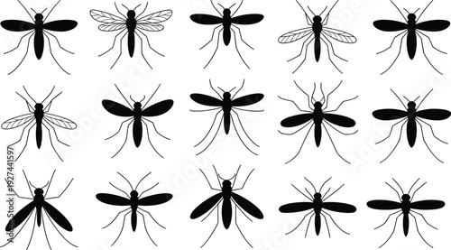 Mosquito silhouettes collection black and white vector illustration flying insects set pest control disease bug symbols minimal flat design isolated