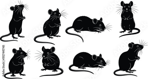 Mouse silhouette vector set featuring cute rodents in different poses animal illustration isolated line art black white design
