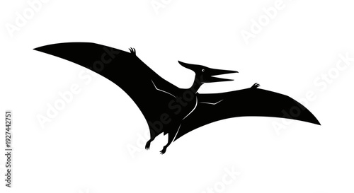 Flying Pterodactyl Silhouette Graphic.