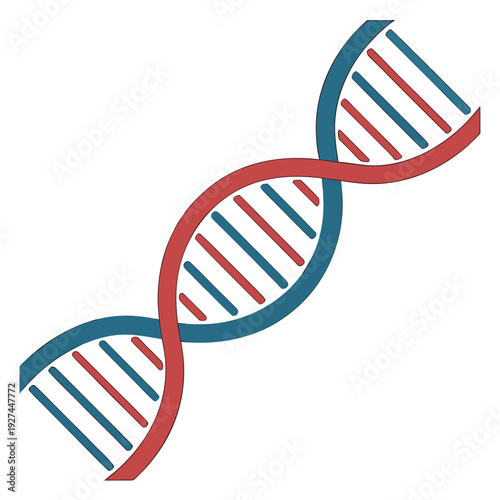 A dna double helix structure with red and blue lines