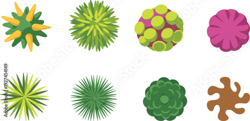 Top view bush and shrub collection isolated on white background, colorful garden plant vector illustration set for landscape design