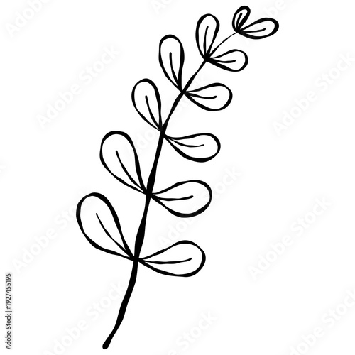 Wallpaper Mural Elegant hand-drawn botanical leaf branch doodle in a minimalist line art style. Torontodigital.ca