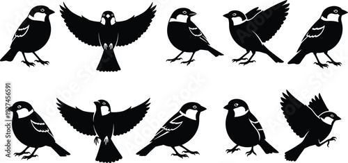 Black sparrow bird silhouettes collection featuring various flying and perched poses isolated on white background for nature and wildlife vector design