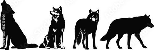 Black wolf silhouette set, wild husky and timberwolf in various poses like howling, sitting, and walking, isolated on white background.
