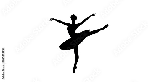 A graceful silhouette of a ballet dancer in mid-performance, exuding elegance and poise