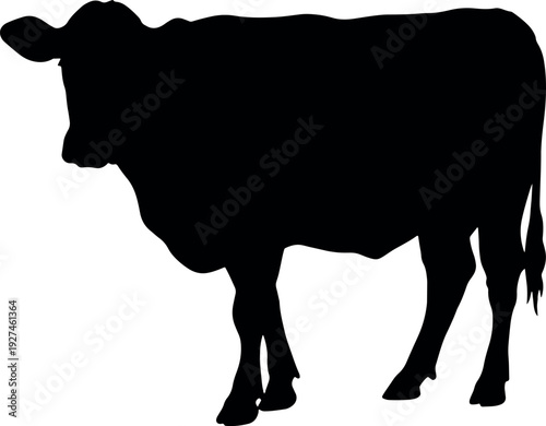 Silhouette of a Black Cow Standing on White Background for Agricultural and Farming Themes