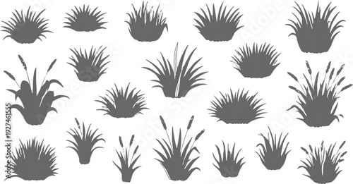 The image shows clumps and tufts of various types of grass, each with a different shape, size, and density. The grass is covered and laid out in gray, creating a clean and modern aesthetic. 