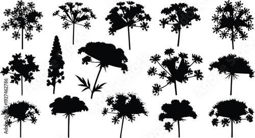 The use of silhouette means that plants are depicted as solid black shapes without internal details. This style emphasizes the overall form and outline of each plant, allowing viewers to appreciate