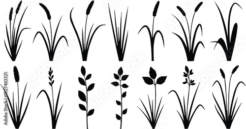 The use of silhouette means that the plant details are presented in solid black. This style emphasizes the overall shape and structure of the grass rather than the color or intricate details, creating