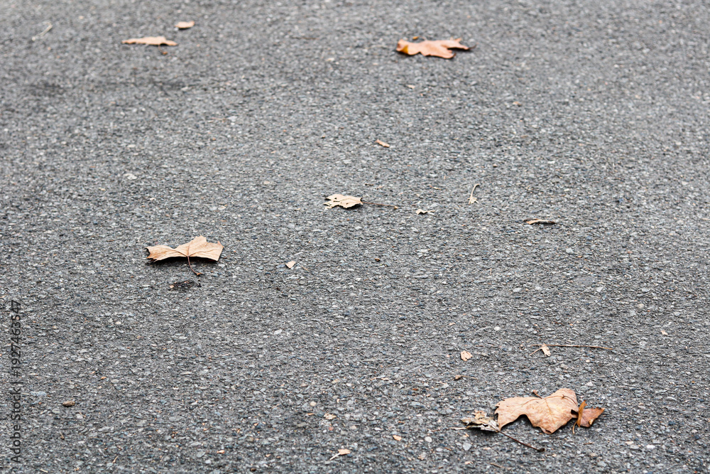 Fototapeta premium A wide expanse of asphalt pavement scattered with a few crisp, brown autumn leaves.