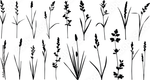 A grid arrangement of black grass silhouettes is shown. This design creates a clean and modern aesthetic, allowing the viewer to focus on the shape and form of the grass without any distractions.