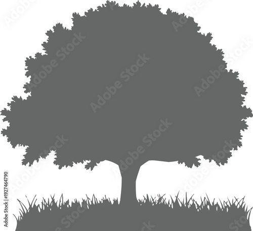 gray silhouette of a tree, which gives it a minimalist and stylized appearance. The tree has a full, rounded crown, indicating a healthy and mature tree, which can symbolize strength and stability. 