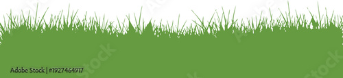 The image depicted has a vibrant green grass field in contrast. This contrast enhances the brightness and freshness of the grass, making it stand out clearly. The style of the illustration suggests 