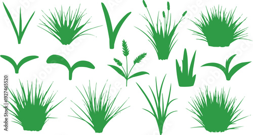  described features a collection of green grass tufts, each varying in shape and size. The tall and slender tufts likely represent a more delicate or elegant type of grass, while the short and bushy 