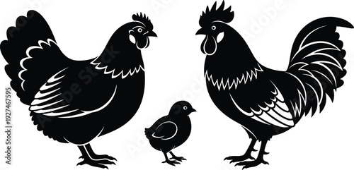 Silhouette Vector of Hen Rooster and Chick Family, Farm Poultry Birds Collection for Agriculture, Rural Life, and Organic Food Design,