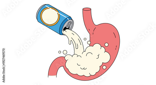 Educational illustration of a blue soda can pouring liquid into a human stomach representing digestion and the health effects of sugary drinks.