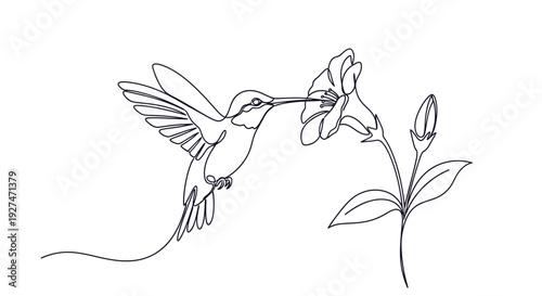 Minimalist continuous line drawing of a vibrant hummingbird hovering near a blooming flower, illustrating the graceful dance of nature and its delicate interaction with elegant simplicity.