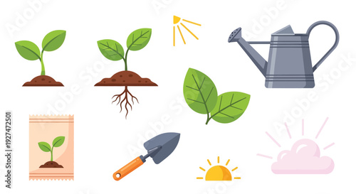 A collection of illustrations depicting the process of planting and growing a seedling, including seeds, soil, roots, leaves, sunlight, and watering can.