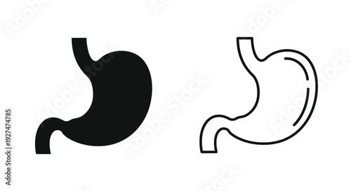 Human stomach illustrations a filled and outlined depiction