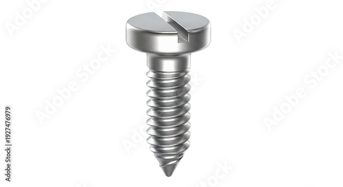 Silver Slotted Head Screw