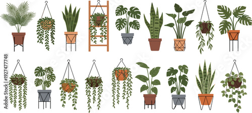 Indoor hanging houseplants collection with tropical potted plants vector set for home decor, botanical design, and urban jungle illustrations