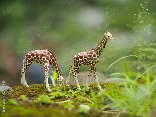 Mini toy of action figure at outdoor park with blurred background. Miniature photography concept design. Minifigure of giraffe animal character at green grass land. Wild life at nature.