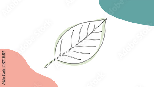 Minimalist line art drawing of a single leaf set against abstract organic shapes in soft green and pink pastel colors.