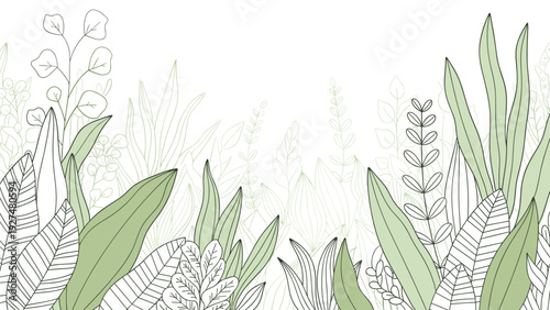 Minimalist background of delicate hand-drawn wild grasses and leaves in soft green and outline styles, with copy space above.